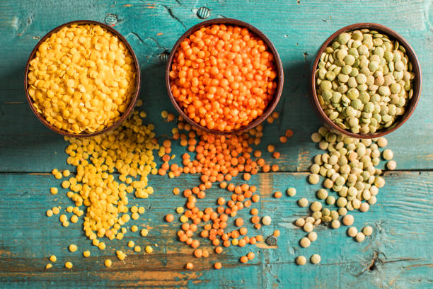 lentil